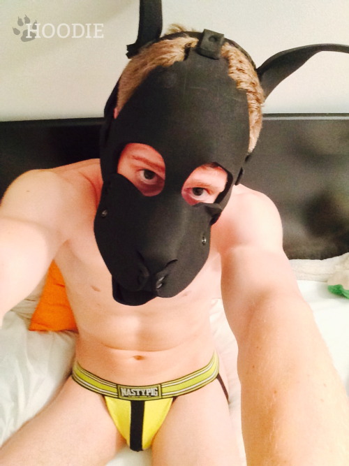 XXX puphoodie:Two new jockstraps for the pup photo