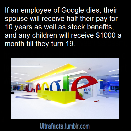 pizzaismylifepizzaisking:  ultrafacts:  Want more facts on your dash? Click HERE
