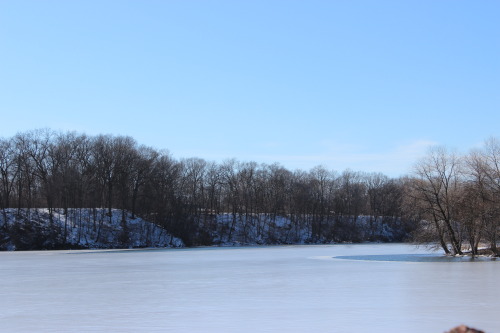 (Frozen) Lake Newburgh, Livonia, MI (1/2020)