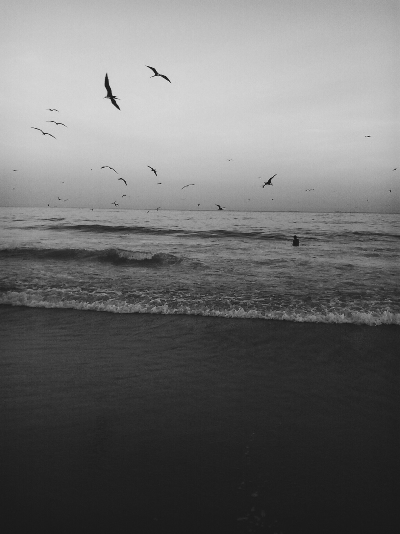 danielodowd:  elizandrasg