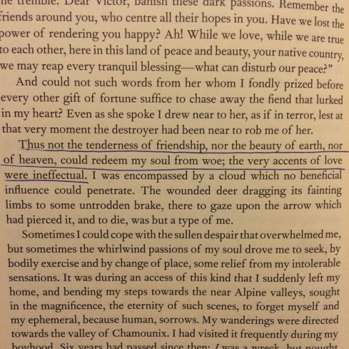 Reading Frankenstein for the first time and Mary Shelley found some beautiful words to express how u