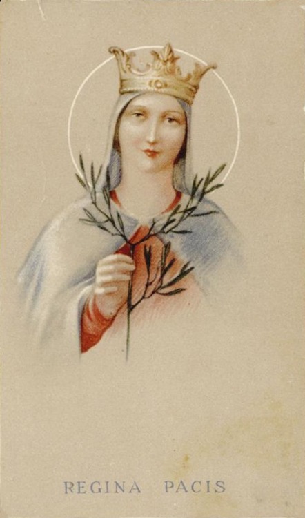 theraccolta:Mary under her various titles:Mother of Our Savior, pray for us!Virgin Most Faithful, pr