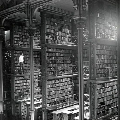 blondebrainpower:A Man Browses For Books