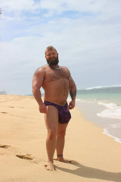 grunnido: mcmeathead2: Hanging out on the beach in my speedos by @cut2medesigns.  Definitely go