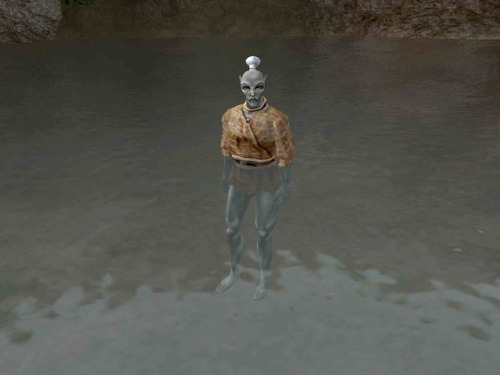uesp: “Hainab stole my pants!” –Hentus Yansurnummu hiding in water to hide his pan