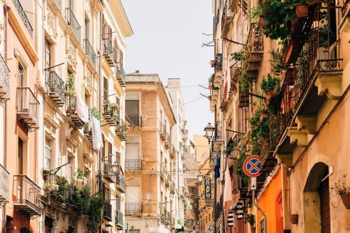 moaza:  Photo by Roman Kraft on Unsplash