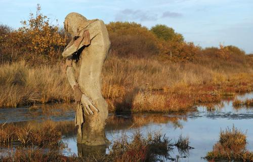 ex0skeletal-undead:Swamp creatures in the Marshes Nature Reserve of Séné in the Gulf of Morbihan in 