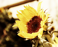 you were seared onto my hearts