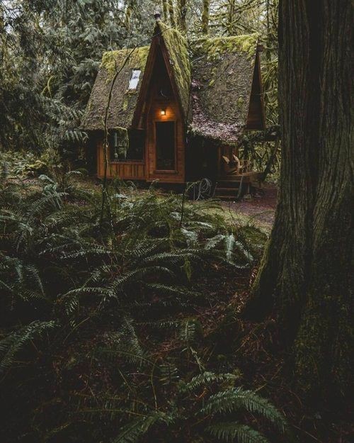 thestrawberrynight:imagine being a green witch, who lives in the forest, spends time doing potions and collecting the ingredients, write her own witchy book, walks a lot and enjoys the sunshine