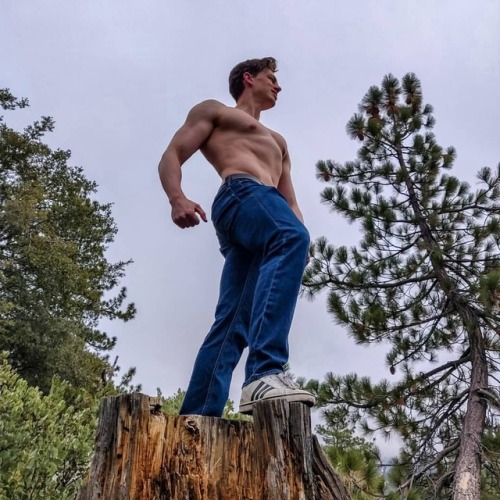 Getting natural in Idyllwild . #fit #fitness #naturalbodybuilding #bodybuilding #swole #ripped #mus