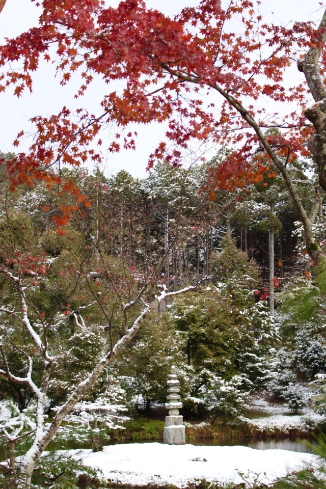 XXX chitaka45:雪の朝　籠の中の世界遺産　❄️金閣寺❄️Kinkakuji photo