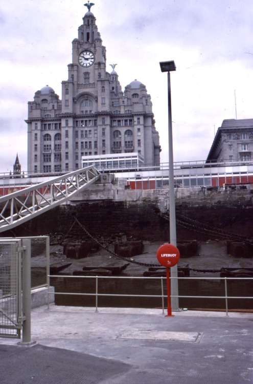 Lifebouy, Liverpool Docks, England, 1977.