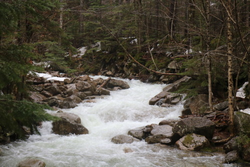 River in the White Mountains