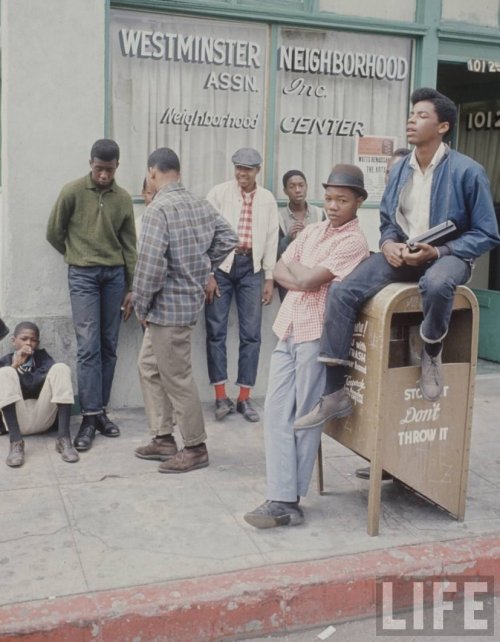 XXX cultureunseen:  The Dapper Rebels of Los photo