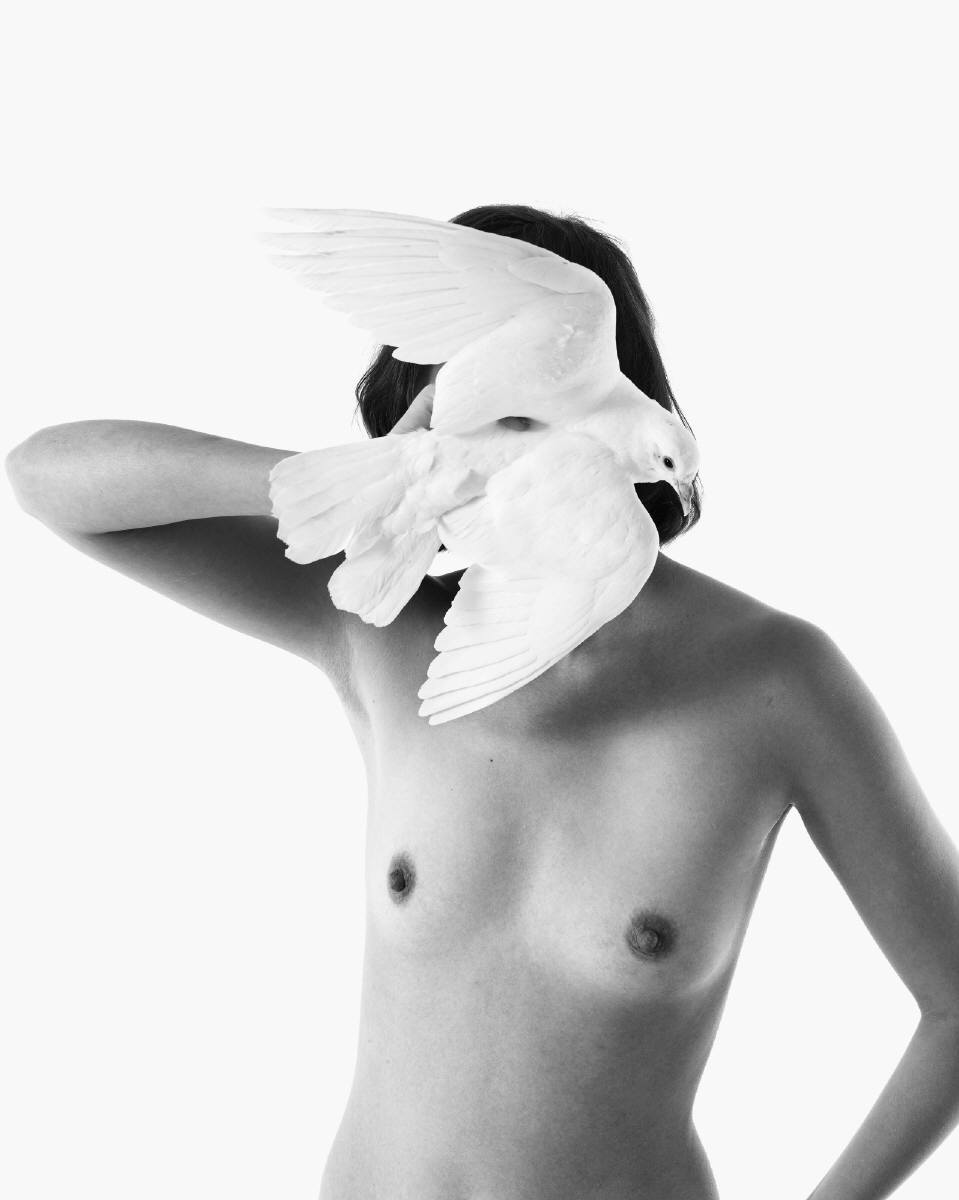 nevver:Max Snow
