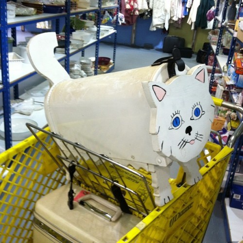 spirituallyscientific:Do I need a big ass white cat mailbox?#thriftingYes