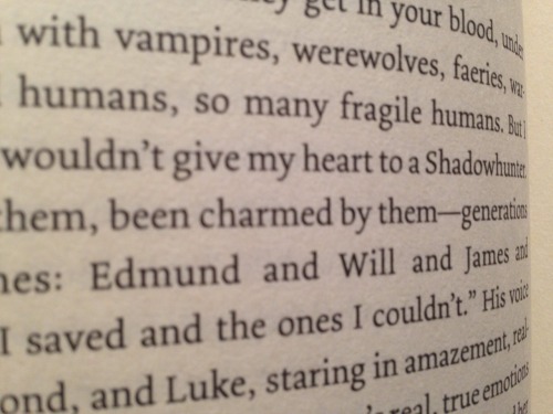 theleavetaking:I took pictures of many Will/Jem/Tessa references in City of Heavenly Fire. This book