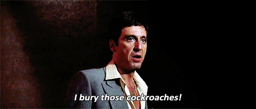 tumblr_p5a7mrYhO21t553g0o1_500.gif