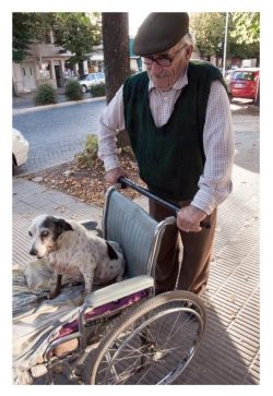 conciencia-animal:  Ella ya no camina y él la pasea