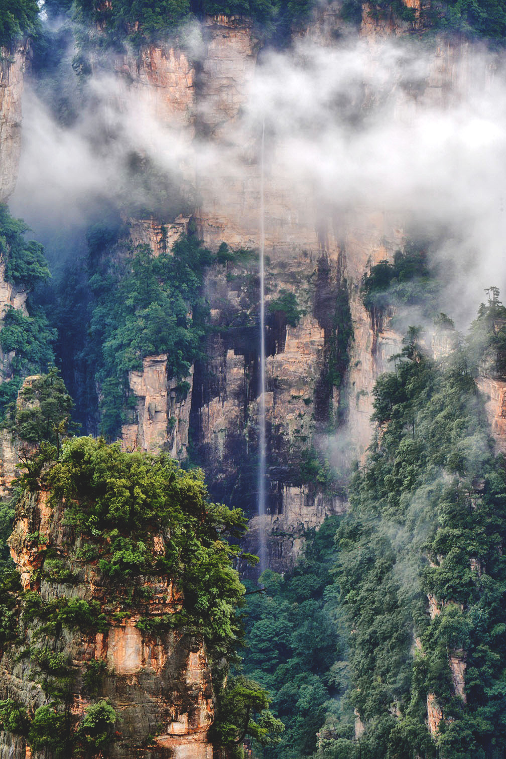 evurqueen:  oh-haroo:  Personal - Nature 🌲  „