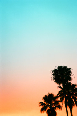 chrissirneyphotography:  natural fade 