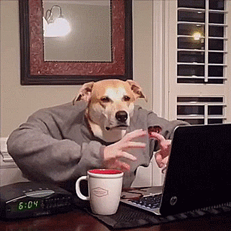 thenatsdorf:  Finley’s morning routine. [video] 
