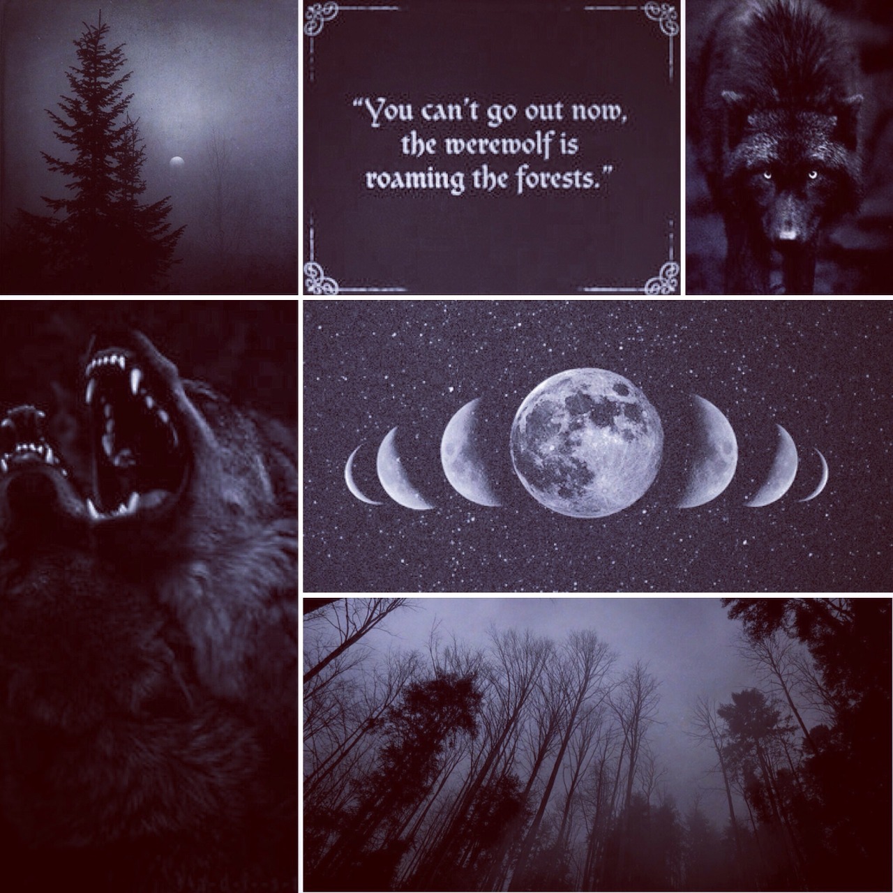 yourkinaesthetic:  black werewolf kin aesthetic 