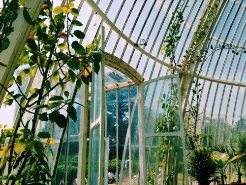 samfryerr:  kew gardens is so pretty 
