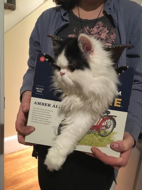 coolcatgroup: cutiemancer: buttart: Dumbass loves tiny boxes, surprising no one Hello Fat Tire, I lo