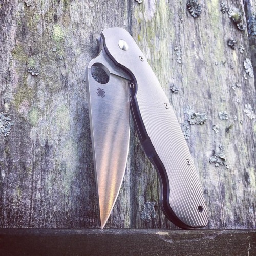 Fluted Ti Military.I can’t believe they discontinued this knife. Does anyone know why?#spyderco #spy