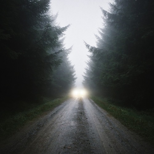 mymodernmet:  Stunningly picturesque moments captured by photographer Finn Beales. 