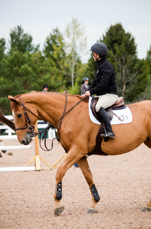 finepointphotography: Classic Phase I Palgrave 2015