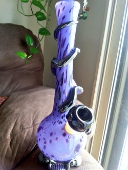 Indica-Illusions:  Indica-Illusions:  New Bongs Here And My God Shes Magnificent