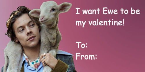 harry valentine’s day!(x)