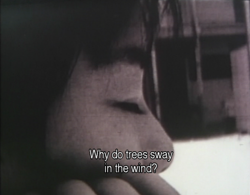 lostinpersona:Embracing, Naomi Kawase (1992)