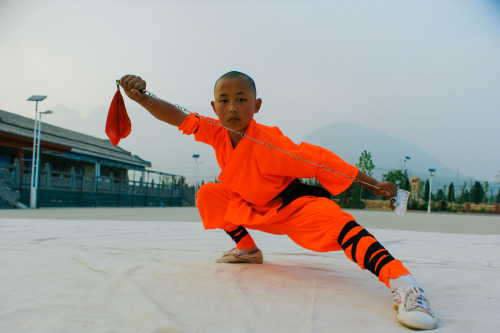 Stance by Shi Yanchen In the study of Shaolin kung fu have dedicate one day for a deep study of som