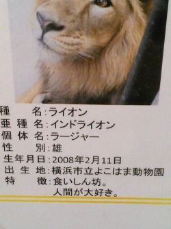 sukekyo:  871153a8.jpg 