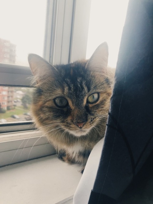 Olive | August 2017 | Created with VSCO®