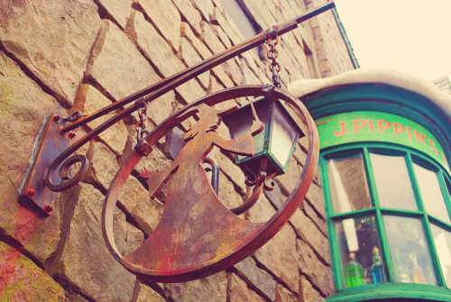 intoasylum:  The Wizarding World of Harry Potter | September 2010 
