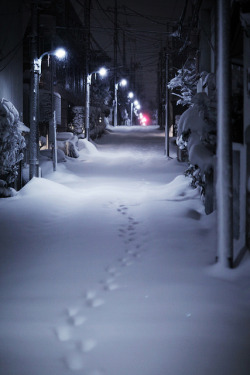 ourbedtimedreams:  TOKYO Snowy night by linton!!