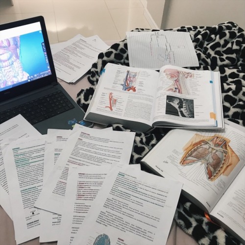 liasglasses: Midterms are over!!!! Used the netter app to study for the pratical part of the anatomy