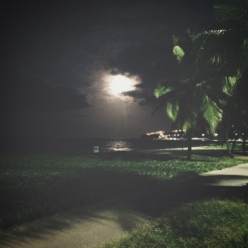 🌙