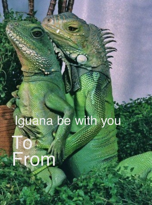 unsuccessfulmetalbenders: whorville: Iguana love you IM SO FUCKING DONE WITH THIS WEBSITE
