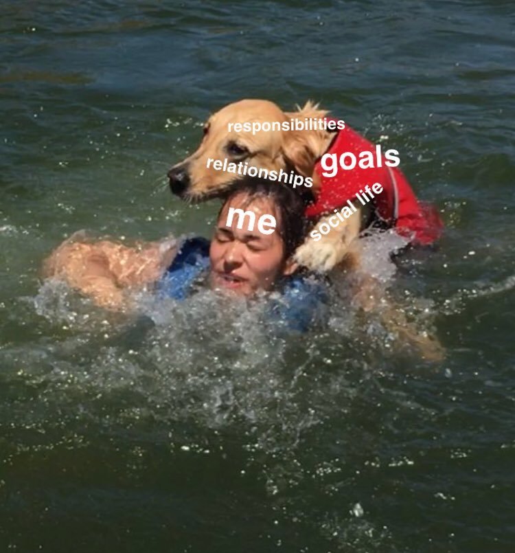 He's still a good doggo