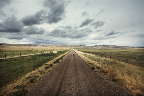 leebarguss:  On the Road // Pt. 5 (by Renaud JULIAN)