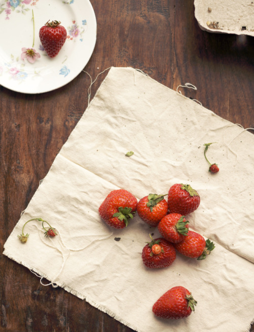 sweetoothgirl:  roasted strawberry buttermilk ice cream   