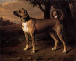 Baroqueart:  Great Dane By Johann Christof Merck 