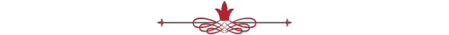 Narinder's Veil - An Analysis