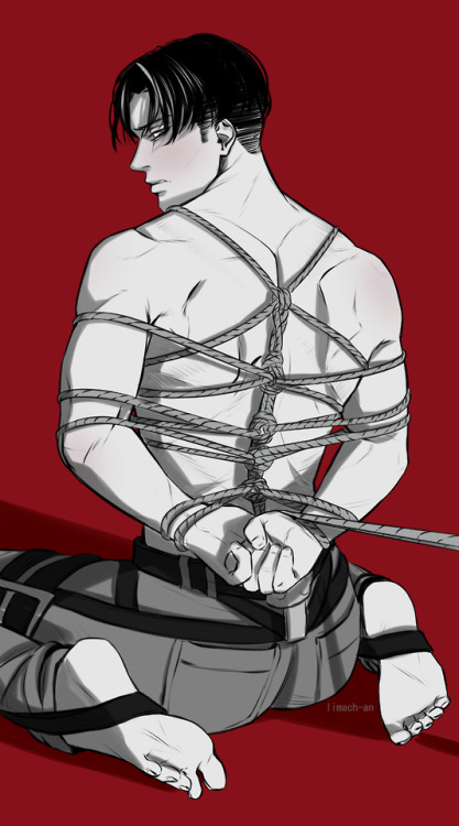 limach-an: the best model for shibari