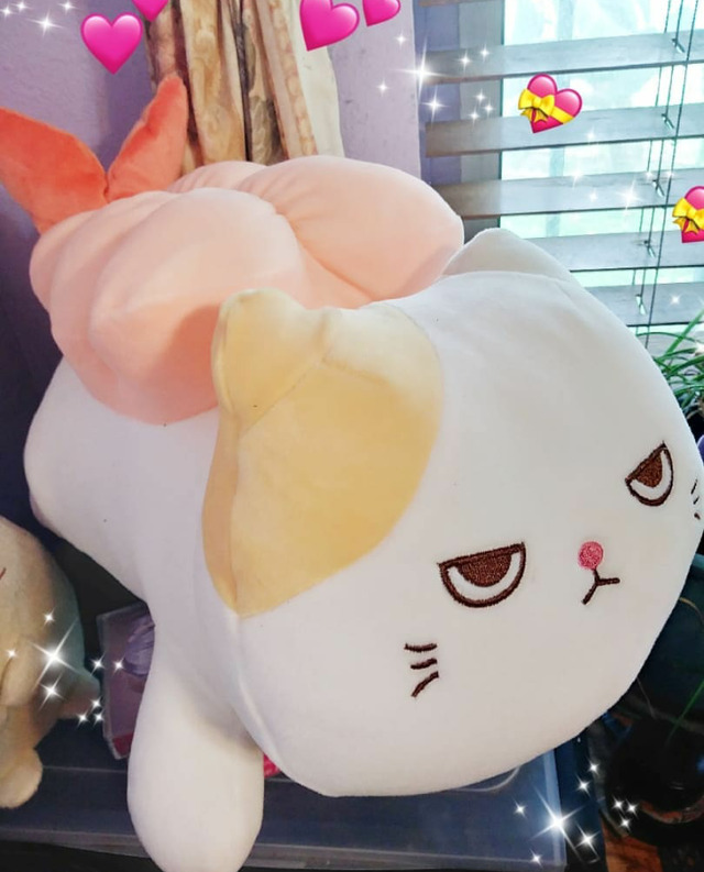 miniso sushi cat